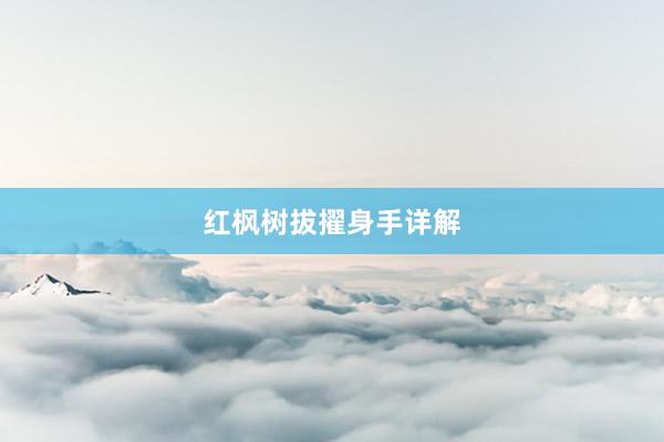 红枫树拔擢身手详解