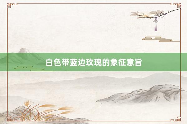 白色带蓝边玫瑰的象征意旨