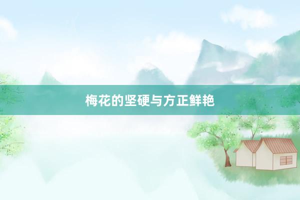 梅花的坚硬与方正鲜艳