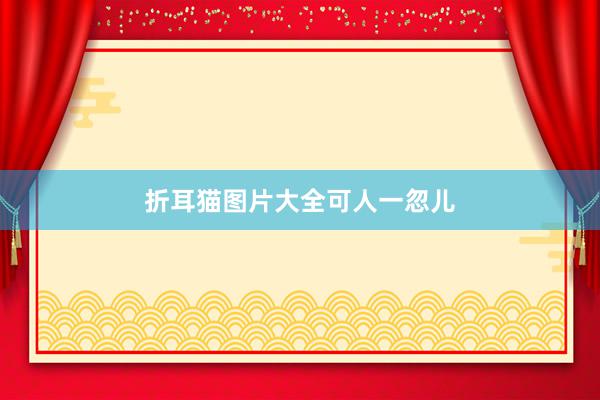 折耳猫图片大全可人一忽儿